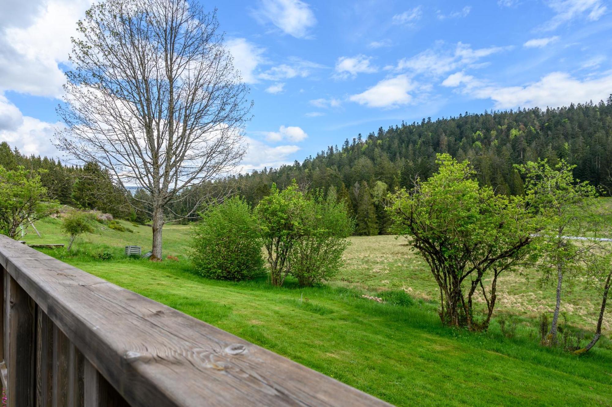 Gite La Ramee Ban-sur-Meurthe-Clefcy Buitenkant foto